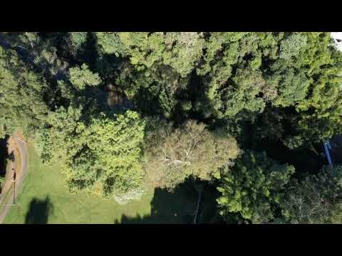 DJI Fly v:1.13.9(1010 Official)Android