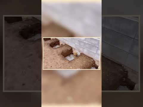 patio-moderne clôture jardin bois-pergola