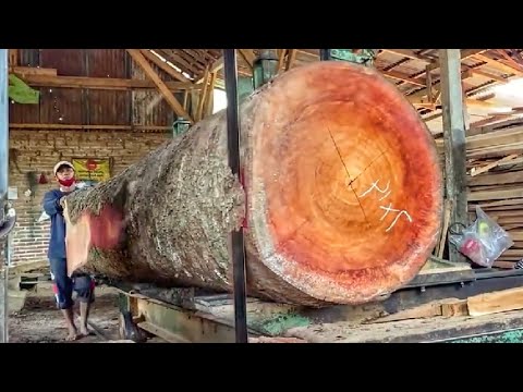 Sawing a beautiful log at the sawmill