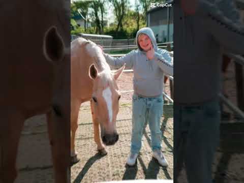 Steig auf! Musikvideo thanks for 200 Abonnenten #hellagabbert #golum #valentino #music #danke