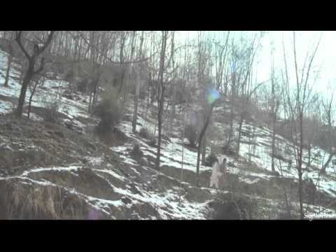 Sikandar qureshi sikandar qureshi actor film chinaar daastaan E Ishk