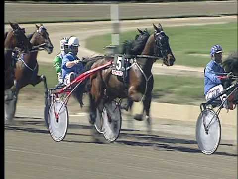 Trotto 26/03/2017 - 2ª corsa