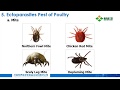 SOHEL RANA Lab August  2019 Control of Pest (1) Classification