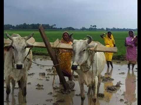Women Master Art of Farming