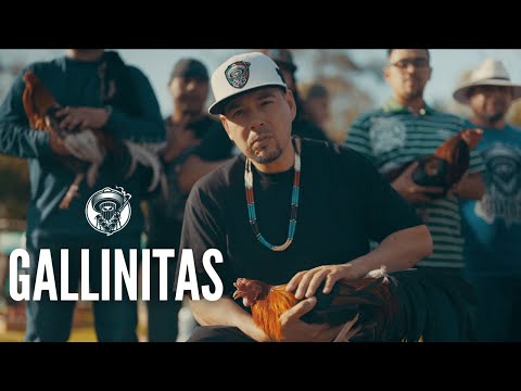 Kinto Sol - Gallinitas [ Video Oficial ]