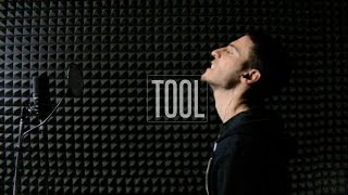 Tool - Vicarious (vocal cover w/ lyrics)