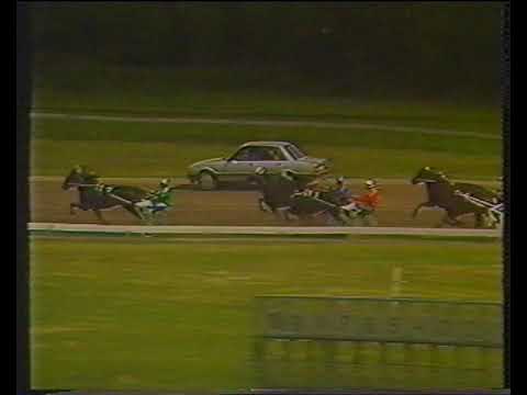 19890903 – Carisma Darby – Martin Eeken – Duindigt – Kampioenschap der Vierjarigen