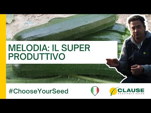 Video: MELODIA F1