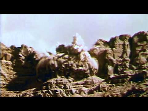 American Masters: A Fierce Green Fire