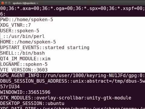Special Variables in PERL - English