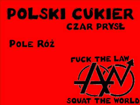 11 Polski Cukier - Pole Róż