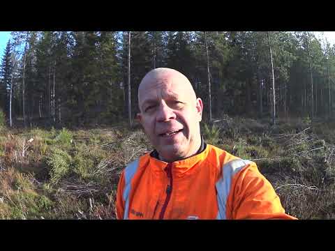 Metsolan Metsäkoulu 228 - Pieleen meni uudistus  - vai menikö?