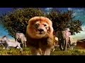 Retro Disney World Commercial 1998 Animal Kingdom
