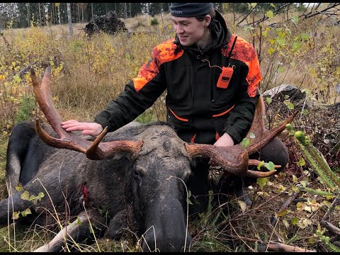 Älgjakt 2019 | Antonsjakt