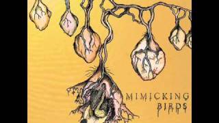 Mimicking Birds - 10%