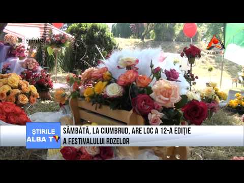 Sambata la Ciumbrud, are loc a 12 a editie a Festivalului Rozelor