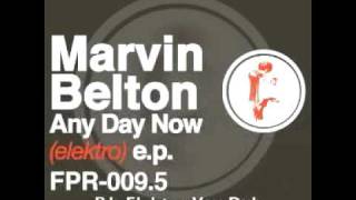 ANY DAY NOW [ELEKTRO VOX DUB]  - Marvin Belton - Ferrispark Records