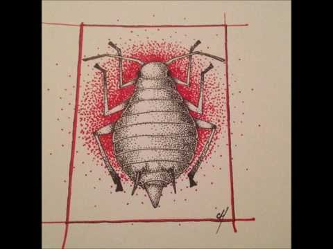 Susurrus - The Aphid