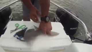 preview picture of video 'Fishing in Hilton Head - Sweet Pea Fishing and Captain John Brackett'