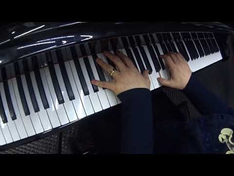 Tudo feliz - Cantor Cristão 499 (com introdução)