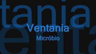 Ventania - Micróbio