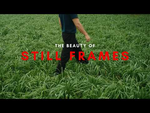 the art of the tripod