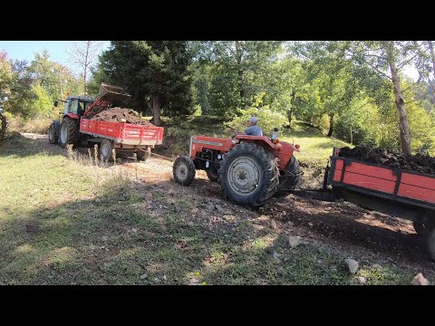 Kendi Yüküm Az Olmuş Gibi Yokuşta Dedemin Traktörünü de Çektim! | Massey Ferguson [1440p60]