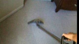 preview picture of video 'Carpet Cleaning Coconut Grove'