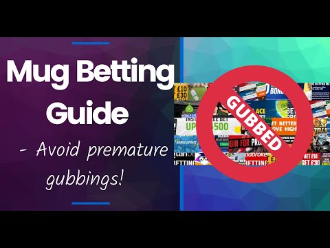 Mug Betting Guide - Demo using Profit Accumulator Oddsmatcher