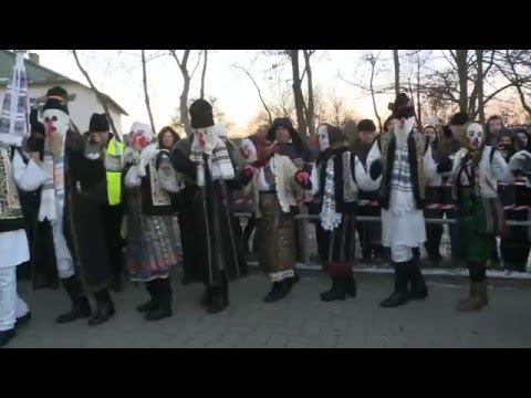 nunta de la udesti 31 decembrie 2015  2