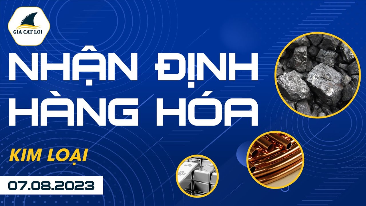 Nhận Định Hàng Hoá Kim Loại Ngày 07/08/2023