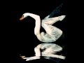 Leda and the Swan | WB Yeats | Tom Hiddleston ...
