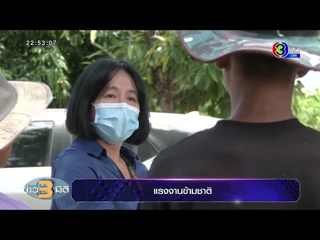 ថៅកែថៃ និងពលករចាញ់បោកមេខ្យល់រត់ការសុពលភាពវីសា/CENTRAL Cambodia