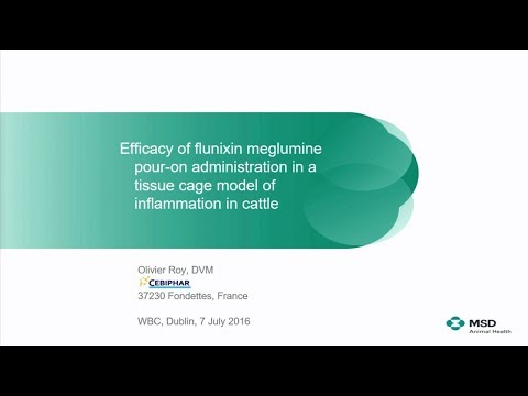 Meglumine Powder