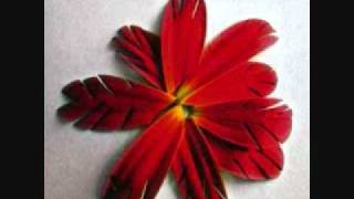 Scar that Never Heals - Jeremy Fisher