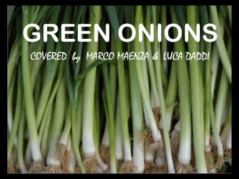 Green Onions - Marco Maenza & Luca Daddi