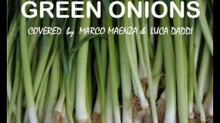 Green Onions - Marco Maenza & Luca Daddi