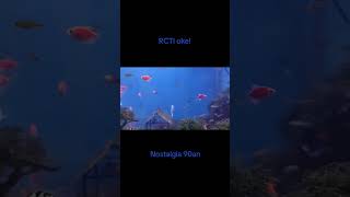 Download lagu RCTI oke!#nostalgia #nostalgia90an #rcti #oke #iklan #fish #ikan #aquascape #glowfish #neon #guppy mp3 Download lagu RCTI oke!#nostalgia #nostalgia90an #rcti #oke #iklan #fish #ikan #aquascape #glowfish #neon #guppy mp3