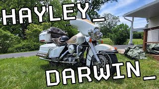 Faire revivre une Harley Davidson à 2 000 $ : à quel point cela pourrait-il être grave ?