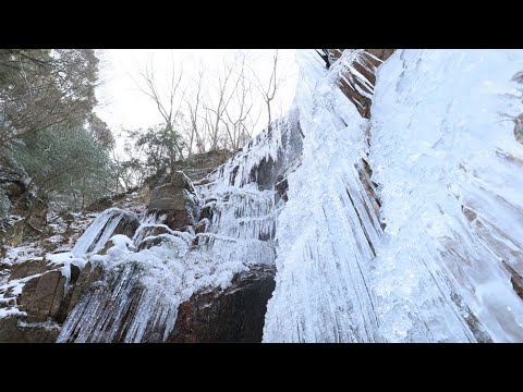 氷結の滝、幻想的な自然美　神戸・七曲滝、落差２５メートルの氷瀑出現