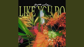Like You Do