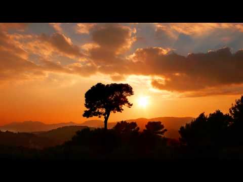 Sub6 feat. Michele Adamson - Ra He'ya (Shulman ALive remix) ᴴᴰ