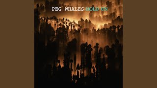 Peg Whales - Hold On video