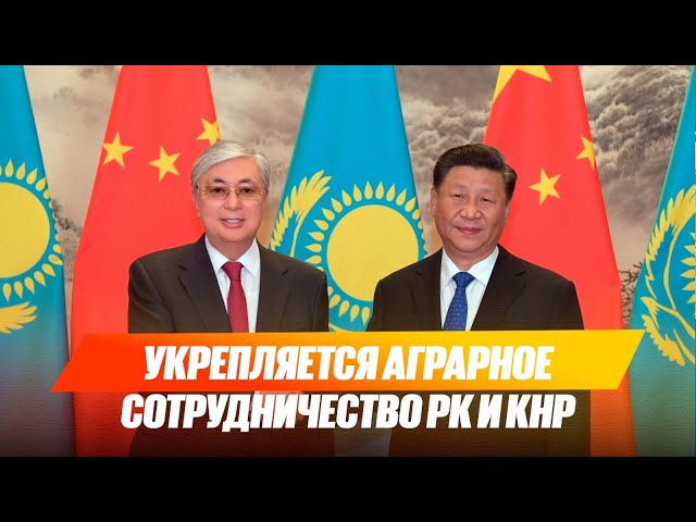 Главные новости 14.07.2025 г.