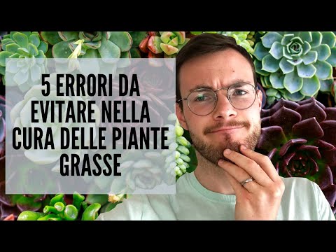 , title : '5 ERRORI DA EVITARE NELLA CURA DELLE PIANTE GRASSE'