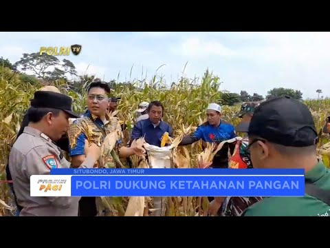 POLRES SITUBONDO PANEN JAGUNG