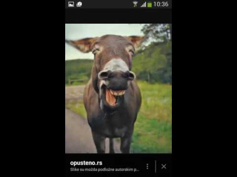 Mladi crni magarci porno