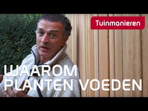 Waarom moet je planten voeden?