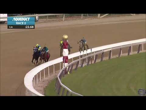 Win Aqueduct Racetrack 11/25/18
