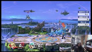 スマブラSP 垂れ流し配信